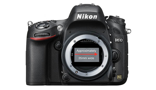 Nikon camera sensor