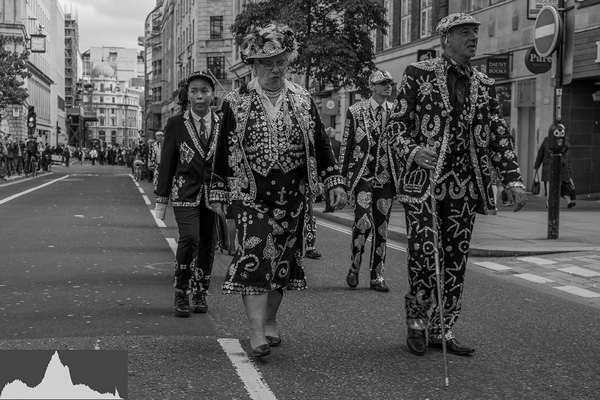 histogram 15 pearly kings and queens